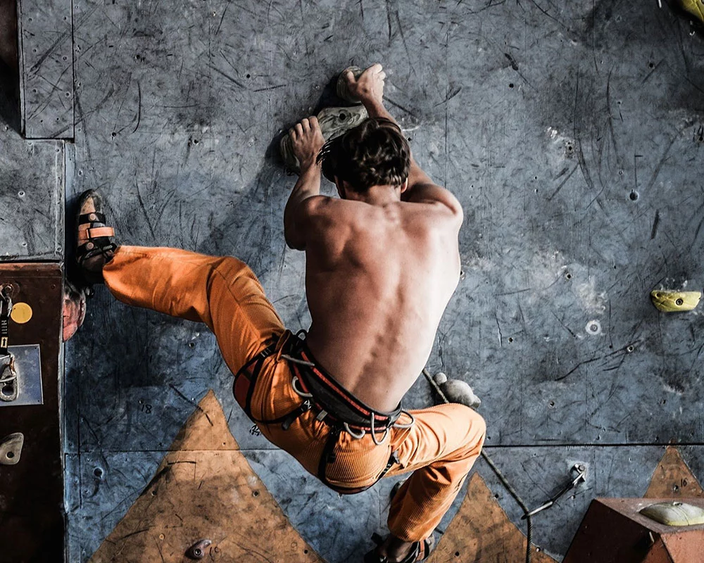 does rock climbing build muscle?